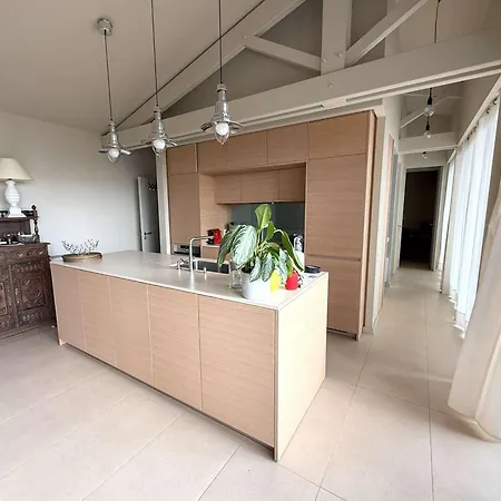 Moderne Pour 10 Pers. Sans Wifi, Proche Bassin D'arcachon - Fr-1-736-64 Villa Lège-Cap-Ferret