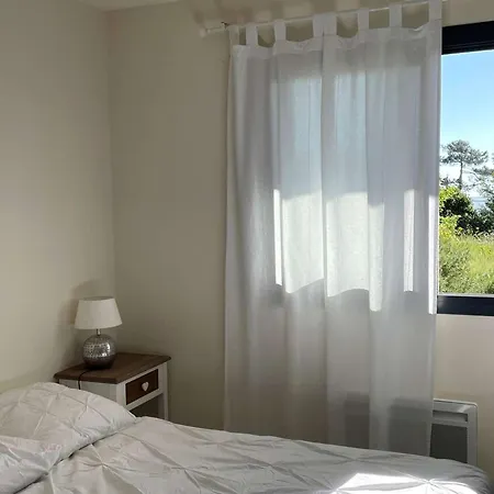 Villa Moderne Pour 10 Pers. Sans Wifi, Proche Bassin D'arcachon - Fr-1-736-64 *