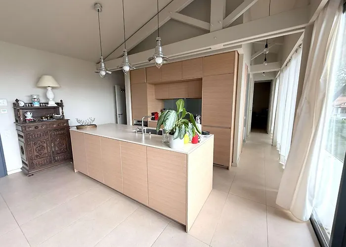 Moderne Pour 10 Pers. Sans Wifi, Proche Bassin D'arcachon - Fr-1-736-64 Villa Lège-Cap-Ferret